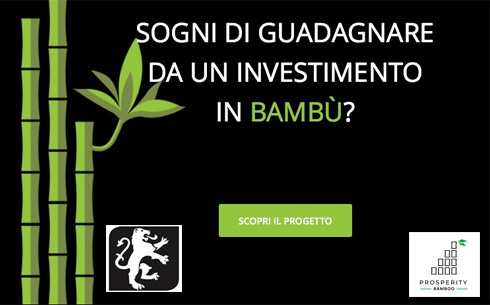 Investire in bambù? Una buona idea! E non solo…